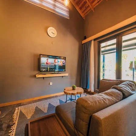 Antik River House Villa *