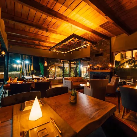 Antik River House Villa *