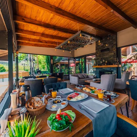 Antik River House Vila *